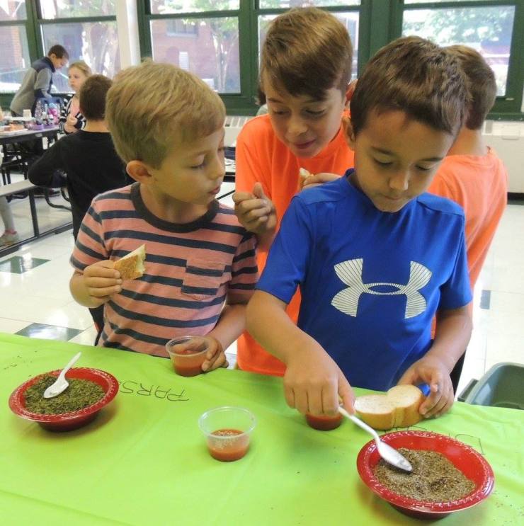 14468655_691479444341238_194955032517221178_o